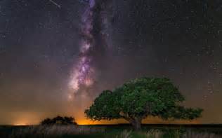 Stars Space Galaxy Trees Milky Way Grass Hd Wallpapers Desktop