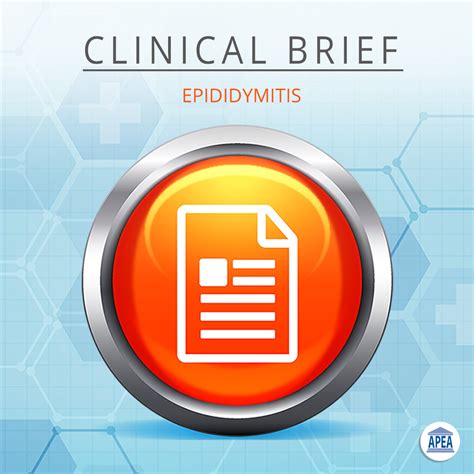 Clinical Brief Epididymitis