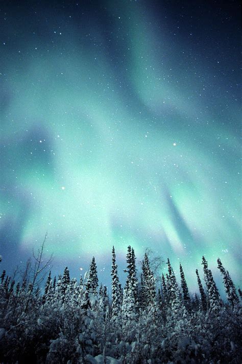 Northern Lights Over Snow Covered Photograph By Robert Postma Pixels