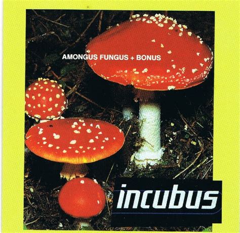 Incubus Amongus Fungus Bonus Releases Discogs