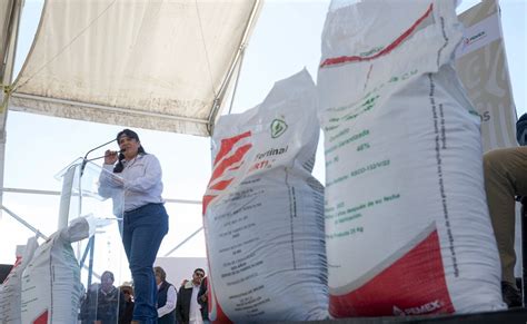 Inicia Gobierno De México Entrega Nacional De Fertilizante Gratuito