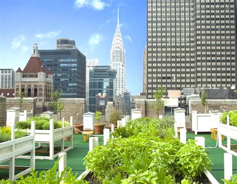 8 Gorgeous Urban Rooftop Gardens Hidden Across Nyc