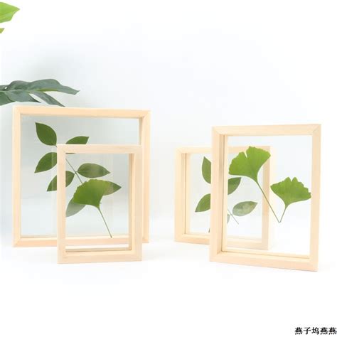Buy My Life Creative Double Sided Glass Plant Specimen Box Stereoscopic Hand Drawn Frame On Ezbuy Sg