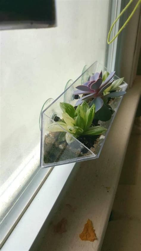 If you live in a basement or apartment with few windows, this is a great indoor planting solution. Suction Cup Window Planter Window Box Style 8 long x in ...