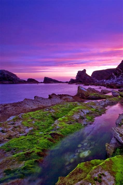 Purple Sunset Coast Iphone X 876543gs Wallpaper Download