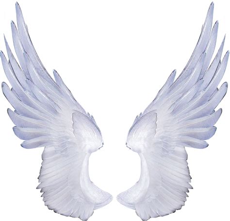 angel wings png clipart