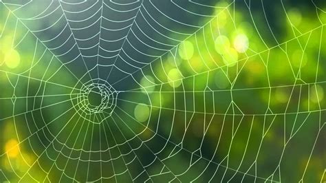Here we will show three different methods: Spider Web Background ·① WallpaperTag