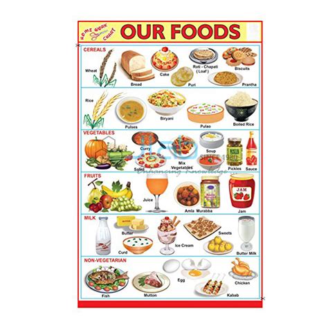 Our Food Chart India Our Food Chart Manufacturer Our Food Chart