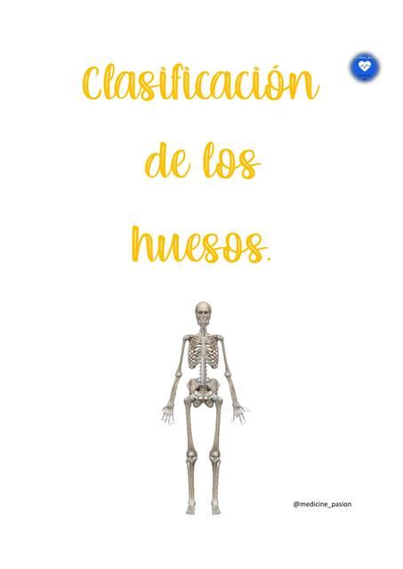 Clasificación De Los Huesos Salud Anatomía Udocz