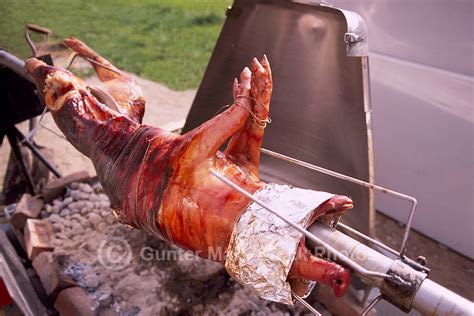 Pig Hog Pork Spit Roast Rotisserie Pictures Images