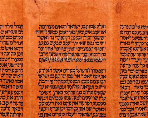 Exodus 1 1 12 Closeup Torah Scroll Tb031416378