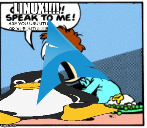Average Arch Linux User Imgflip