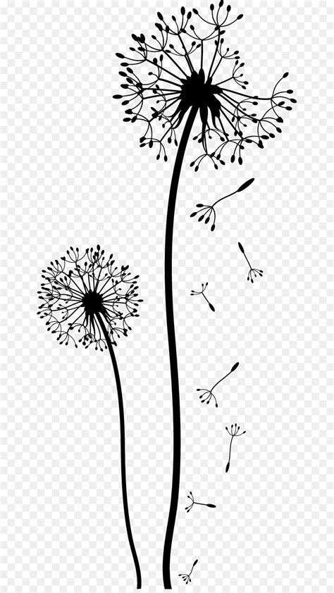 Dandelion sendiri bukan yakni bunga yang berkelopak indah semacam mawar, maupun bunga yang berwangi harum semacam bunga melati. Gambar Bunga Dandelion Hitam Putih - Koleksi Gambar Bunga