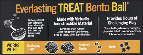 Starmark Everlasting Treat Bento Ball Tough Dog Chew Toy Large