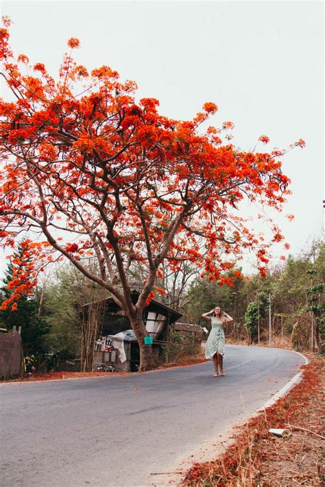 The Scariest Drive Of Our Lives The Road To Pai Dear Travallure