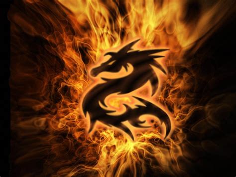 Wallpapers Dragon Wallpapers