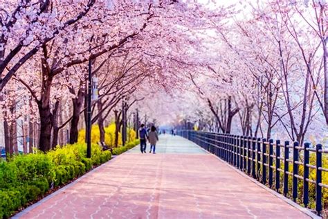The Best Free Tourist Attractions In Seoul The Capital Of South Korea