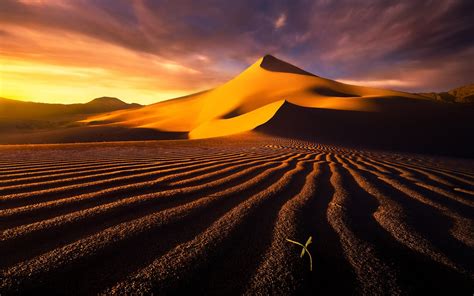 壁紙 熱い砂漠、砂丘、空、雲、 1920x1200 Hd 無料のデスクトップの背景 画像