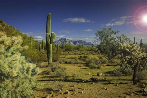 Arizona Landscape Free Stock Photo Public Domain Pictures