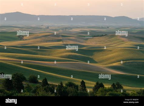 Rolling Farmland Of The Palouse Washington Usa Stock Photo Alamy