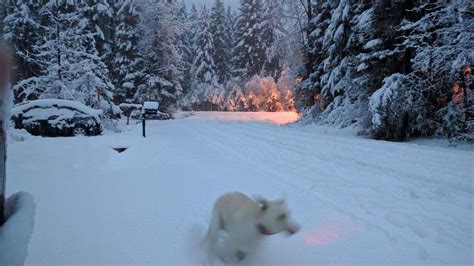 Some Parts Of Alaska See First Snowfall Of The Season