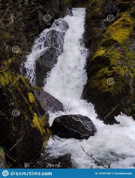 Rushing Waterfall On The Side Of The Road In Oregon Stock Image Image