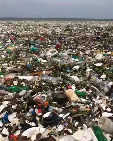 waves of garbage on the coast of the dominican republic r wellthatsucks