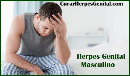 Herpes Genital Masculino Sintomas Paperblog