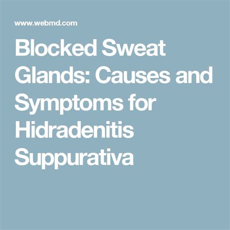 What Are Blocked Sweat Glands Sweat Gland Glands Remedy Glands