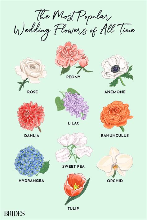 Normally, each stem of a tulip has only one flower. The 10 Most Popular Wedding Flowers of All Time in 2020 ...