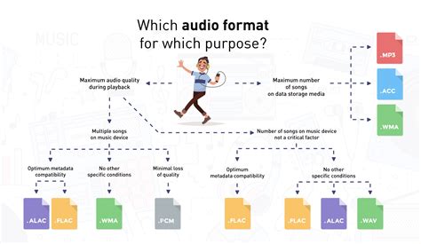 Audio Formats At A Glance What Kinds Are There And How Do They Differ
