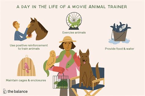 Movie Animal Trainer Job Description Salary And More