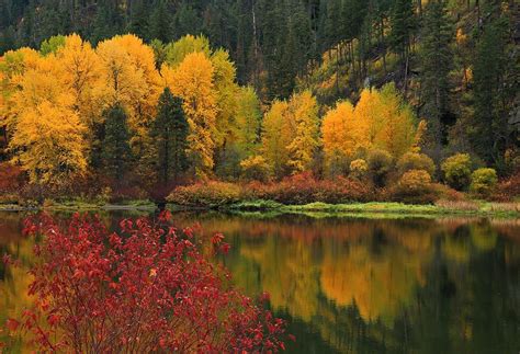Reflections Of Fall Beauty Photograph By Lynn Hopwood Fine Art America