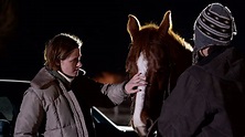 Kristen Stewart Drama 'Certain Women' Wins Best Film at London Film ...