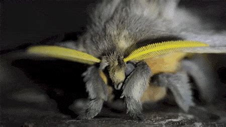 Nutrition by design‏ @nutrbydesign 20 апр. nope gifs | Tumblr