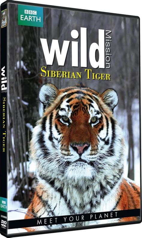Bbc Earth Wild Mission Siberian Ti Dvd Dvds