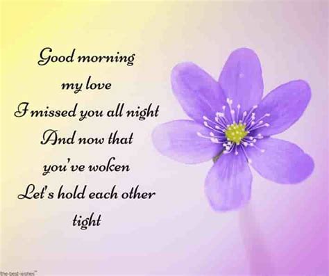 Romantic Good Morning Poems For Him [ Best Collection ] Good Morning Poems Love Quotes For