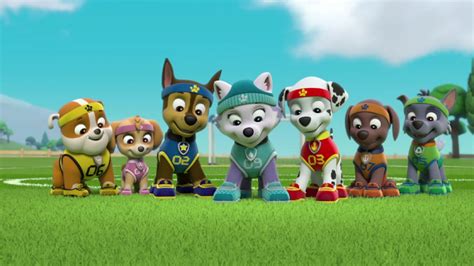 Prime Video Paw Patrol Season 3