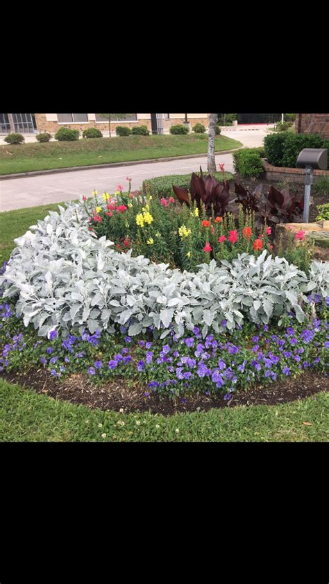 Winter garden flowers | want a winter garden design idea that actually blooms in the cold? Winter flower bed in Houston. | Winter garden, Winter ...