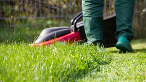 Our Lawn Care Experts Best Tips For Choosing The Right Lawn Care