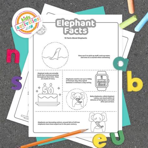 Fun Elephant Facts For Kids To Print And Learn Kids Activities Blog