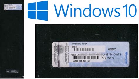 Windows 10 Pro Oem Serial Key Digitalreach