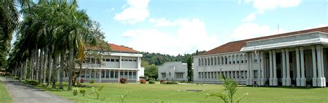 Pefaa Peradeniya Engineering Faculty Alumni Association