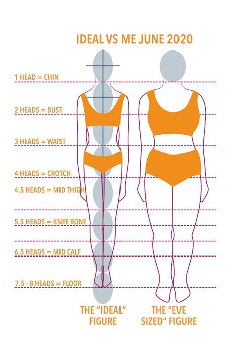 Learn More About Your Body Proportions Body Proportions Sewing