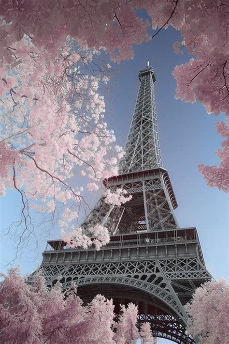 Paris Eiffel Tower David Clapp Poster Sold At Europosters