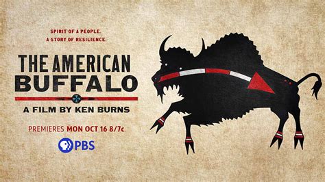 WHRO New Ken Burns Film Explores History Of The American Buffalo
