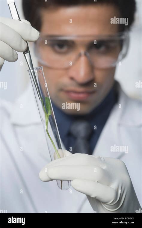 Scientist Examining A Plant In Test Tube Stock Photo Alamy