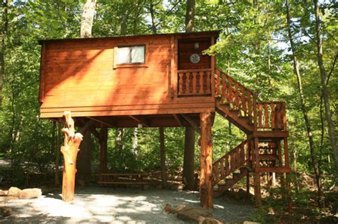 Check spelling or type a new query. 10 Amazing Treehouses In Pennsylvania