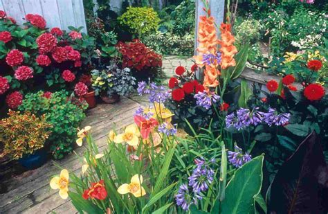 Plants For Tropical Gardens