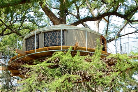 Maybe you would like to learn more about one of these? Tree House near Austin, Texas
